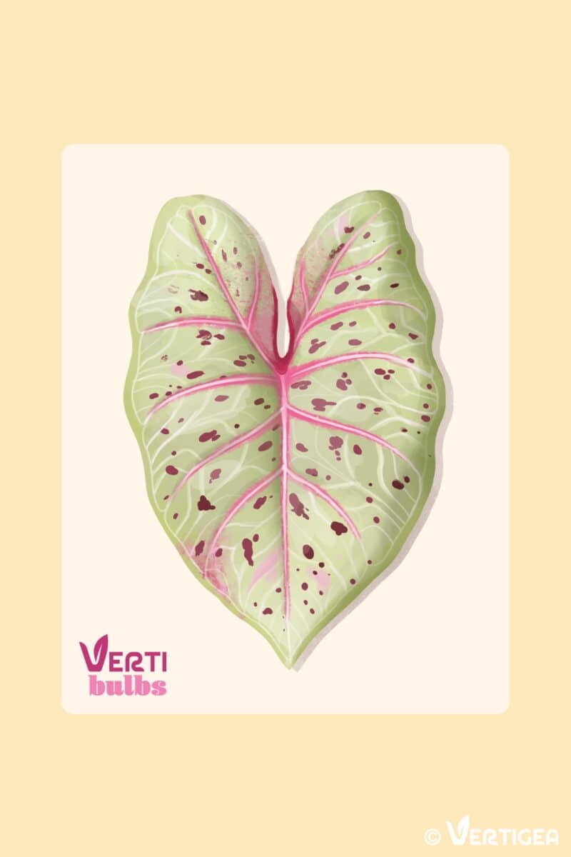 fiche produit - 15