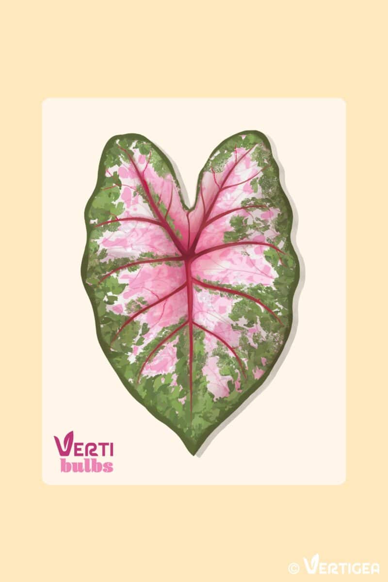 fiche produit - 19