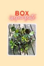 La Box des Imparfaites