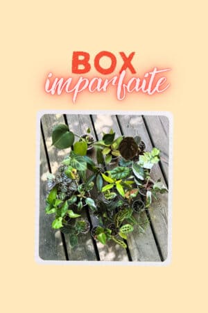 La Box des Imparfaites