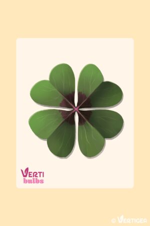 Oxalis Iron Cross (Bulbe)