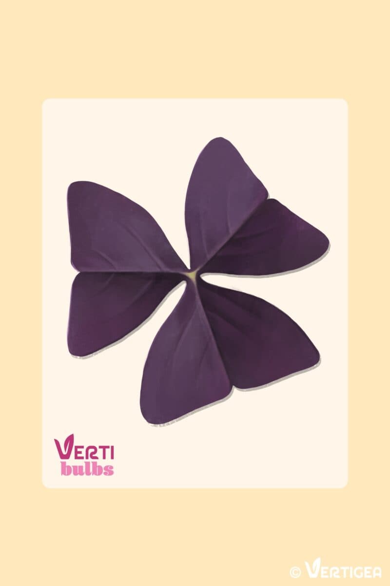 fiche produit - 23