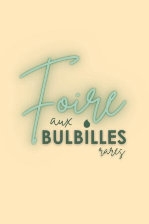 La Foire aux Bulbilles Rares