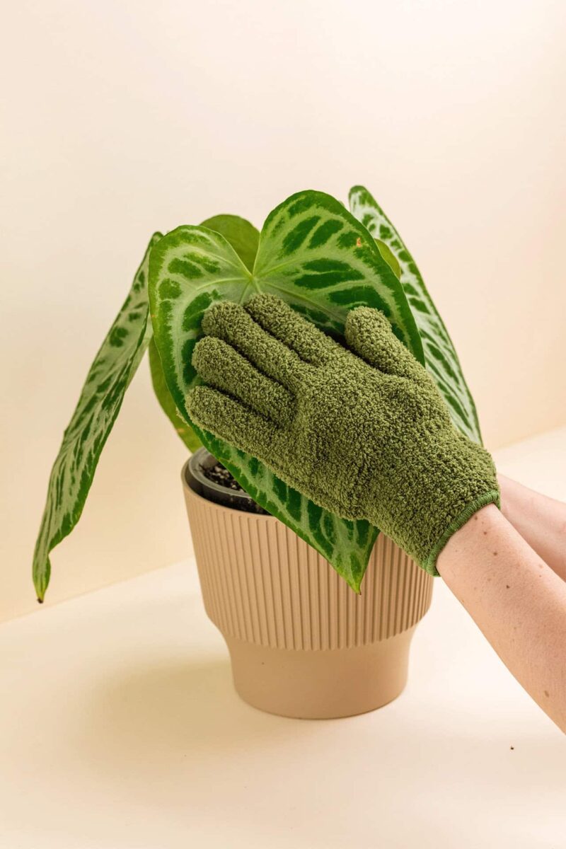 Utilisation des gants de nettoyage en microfibre pour plantes