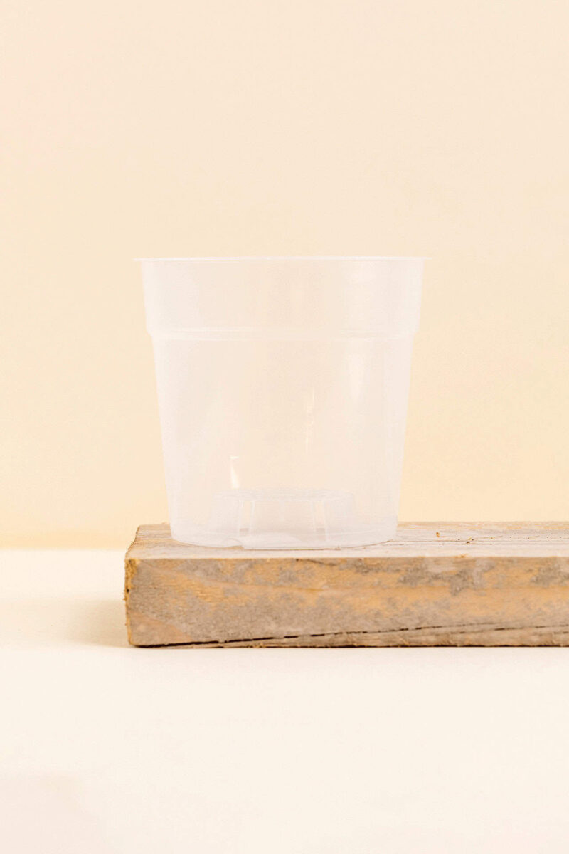 Pot de culture en plastique transparent de 12 cm de diamètre, vue de face