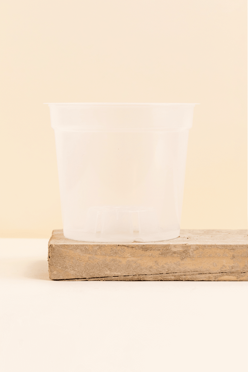 Pot de culture en plastique transparent de 15 cm de diamètre, vue de face