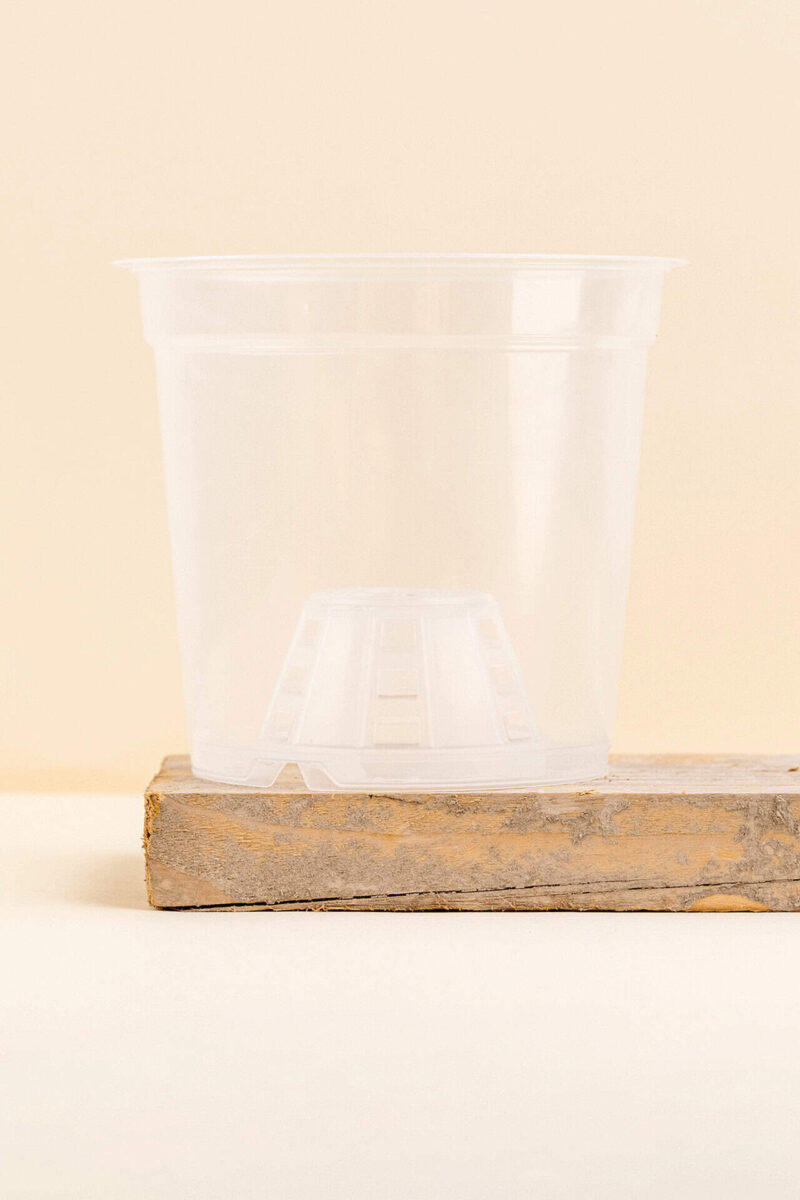Pot de culture en plastique transparent de 17 cm de diamètre, vue de face