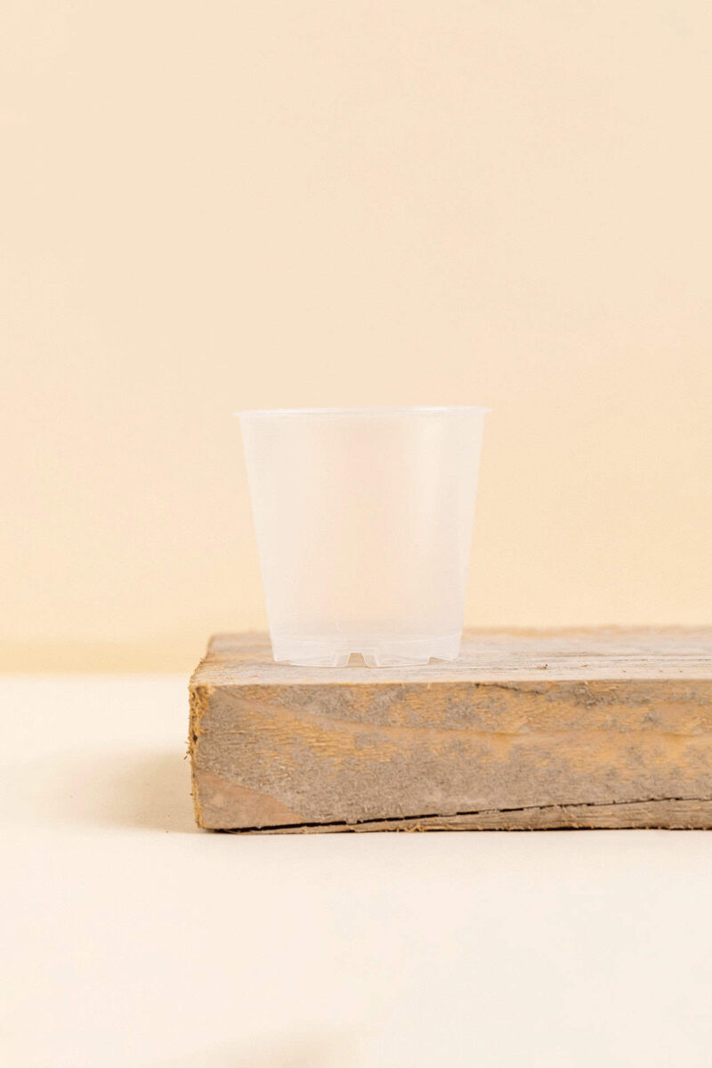 Pot de culture en plastique transparent de 6 cm de diamètre, vue de face